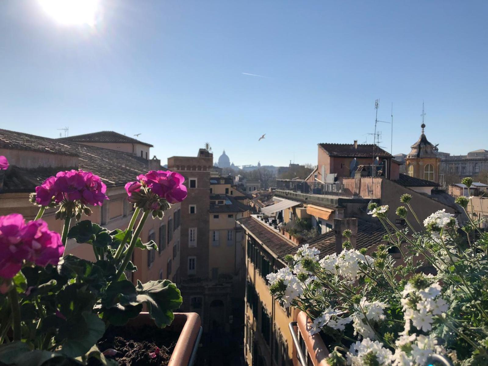 Appartement Stelletta 1a Rome